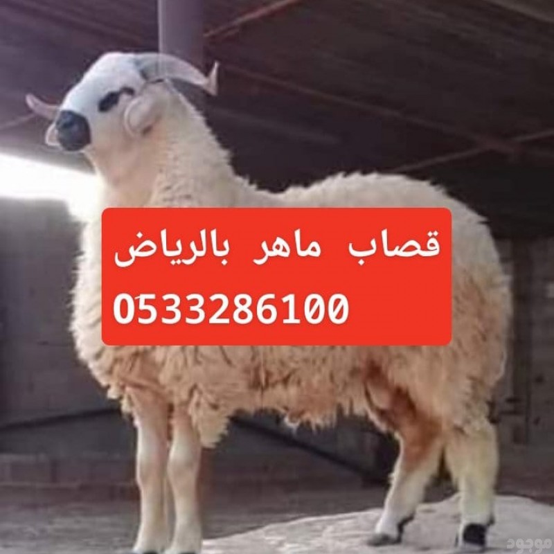 قصاب ماهر شرق الرياض 0َ533286100 