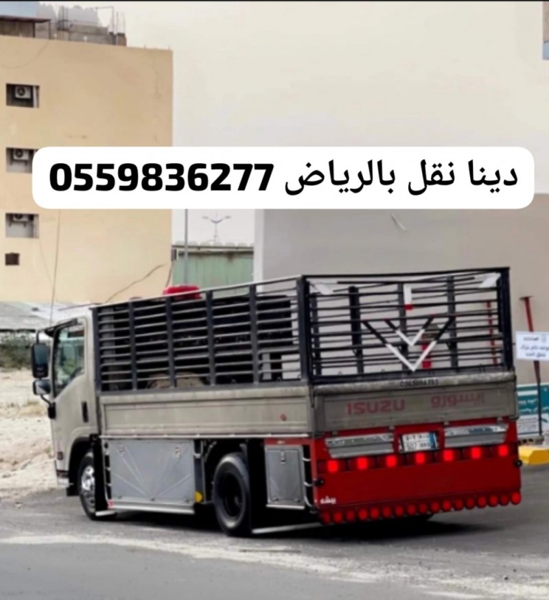 دينا طش الاغراض بالرياض 055983277