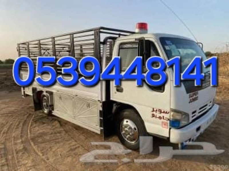 دينا طش الأثاث القديم بالرياض 0539448141حي الرمال حي العلياء حي الشفاء 