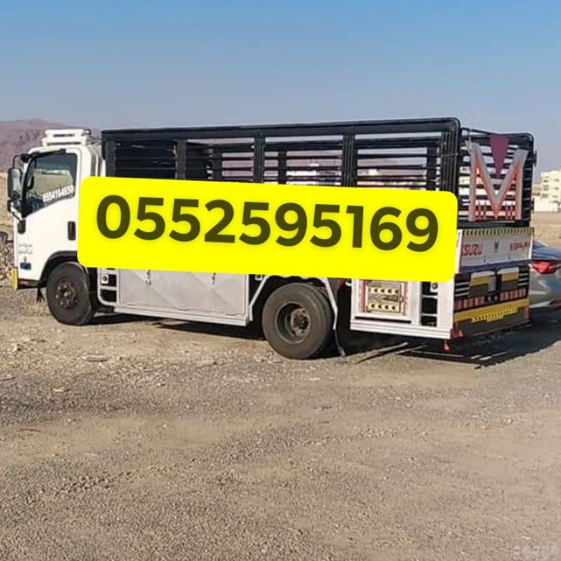 دينا نقل عفش حي الشهداء بالرياض 0552595169