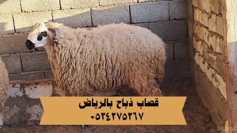 قصاب ذباح بالرياض 0534375367