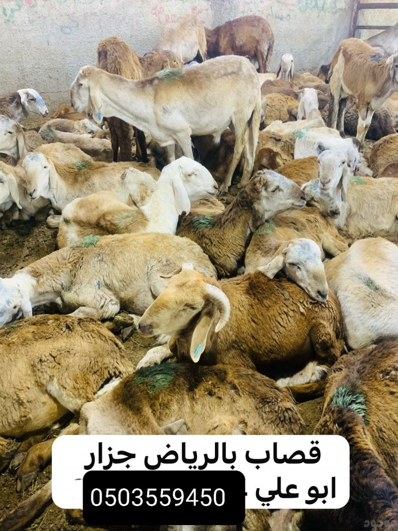 قصاب بالرياض جزار ماهر بالرياض 0503559450 