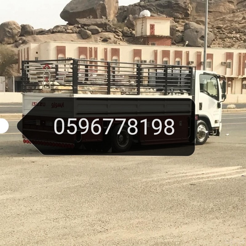 دينا طش التخلص من الاثاث القديم بالرياض 