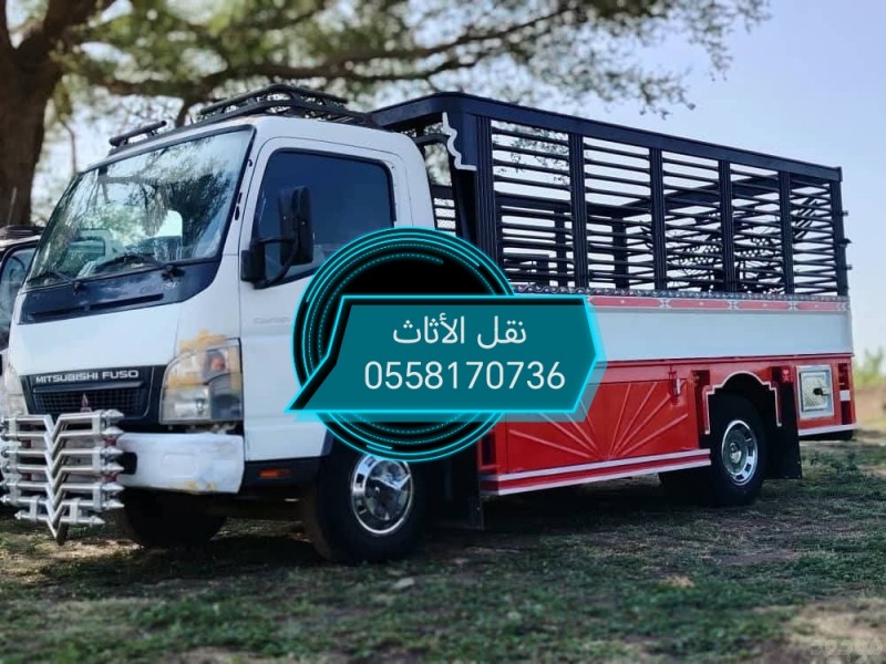 دينا طش الاثاث القديم 0558170736 