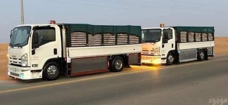 دينا نقل عفش بالرياض 0551977610 دينا نقل عفش بالرياض 