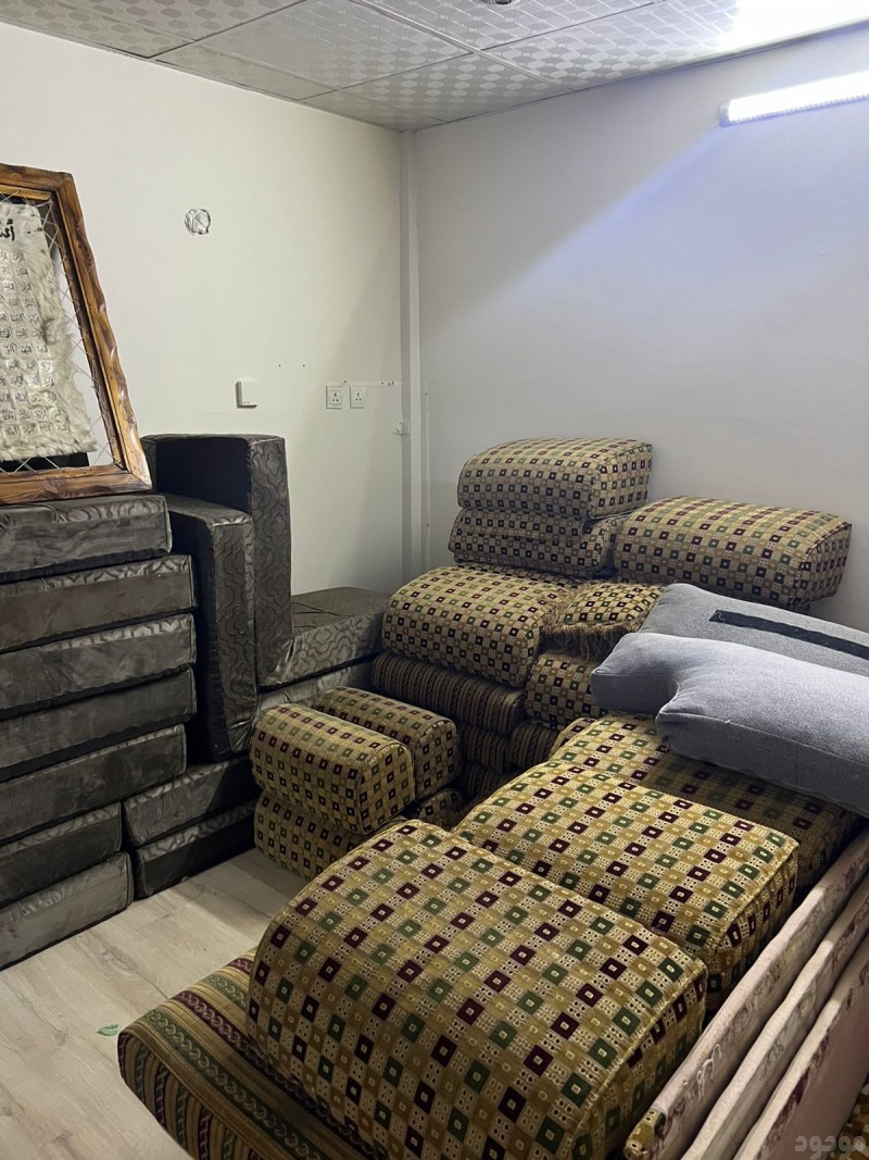 دينا طش بالرياض 