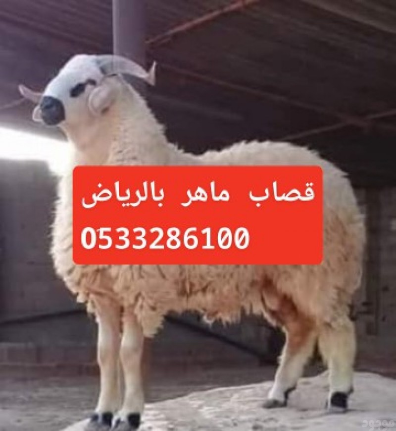 قصاب ماهر بالرياض >> 0َ533286100 جزار سريع بالرياض 