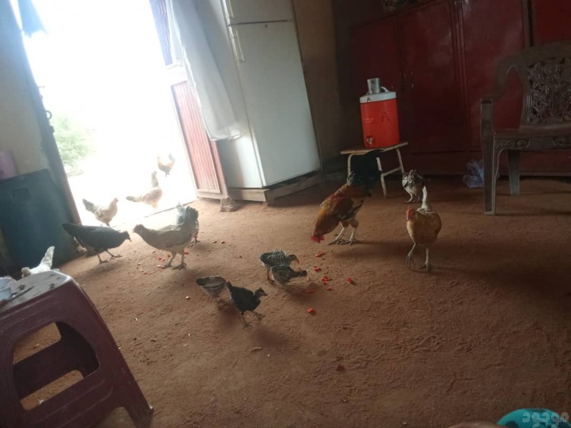 دينا تشيل اشياء قديمه بالرياض 0503483036 رمي الاغراض قديم 