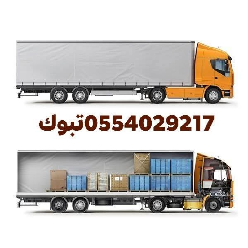 صاحب دينا نقل عفش داخل تبوك 