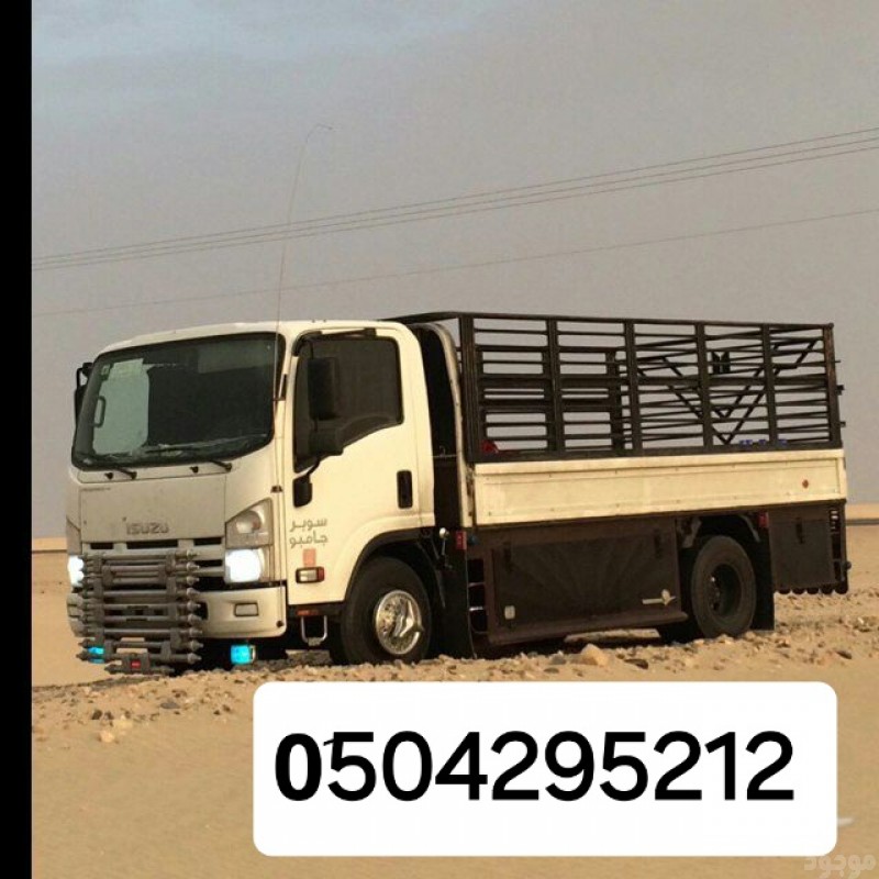 دينا نقل أثاث شرق الرياض 