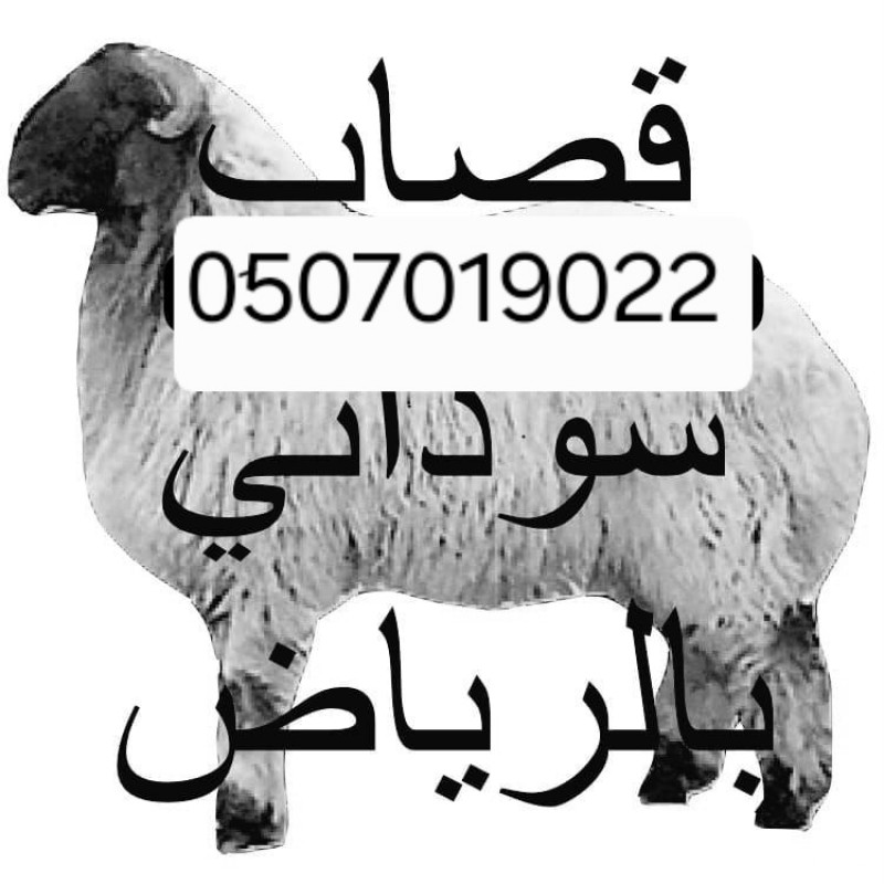 قصاب بالرياض جزار ماهر بالرياض 0َ507019022 حي الشفاء بالرياض حي العزيزيه بأ الرياض 