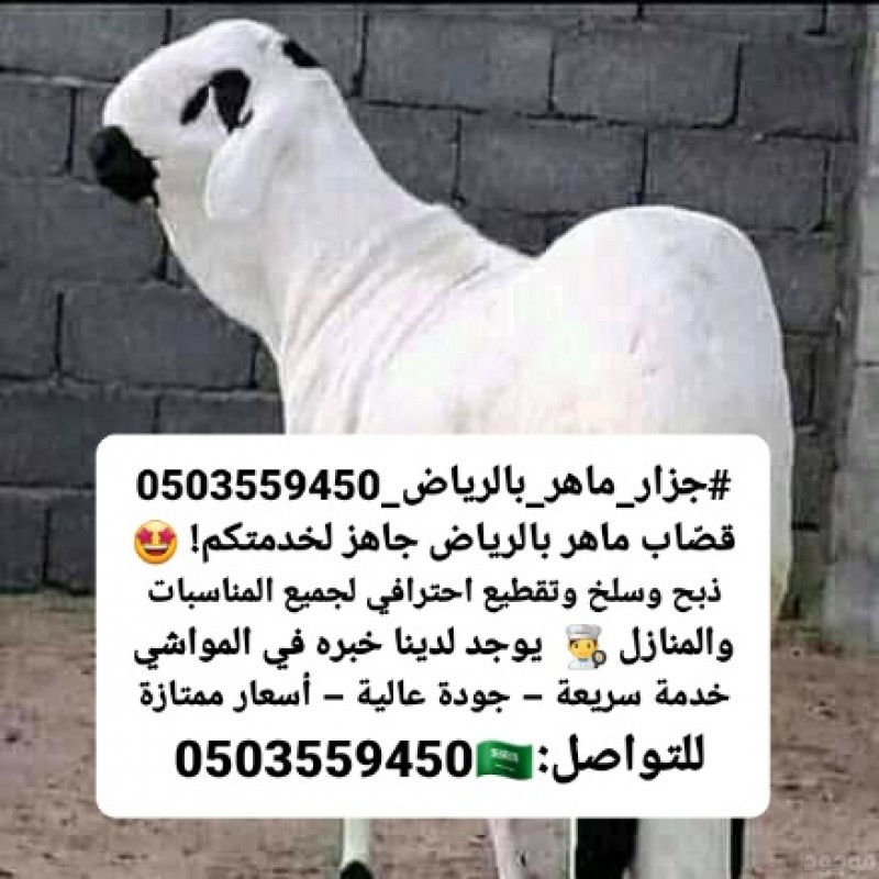 اذا كنت تبحث عن رقم جزار ماهر للمواشي بالرياض 0503559450 العيد الاضحى المبارك