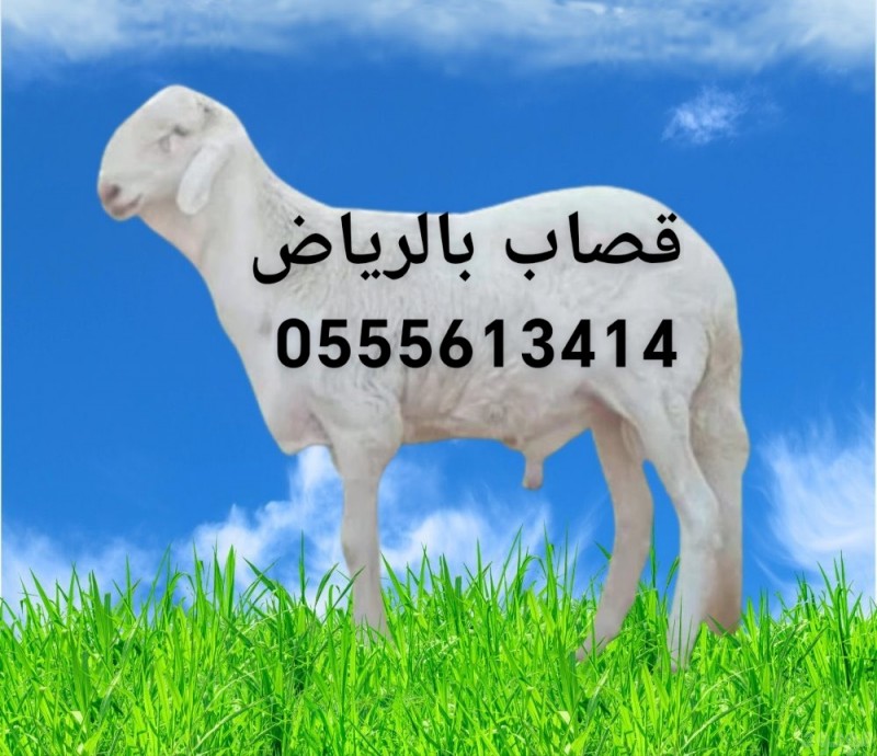 سلخ بشرق الرياض 0555613414 أبو منى