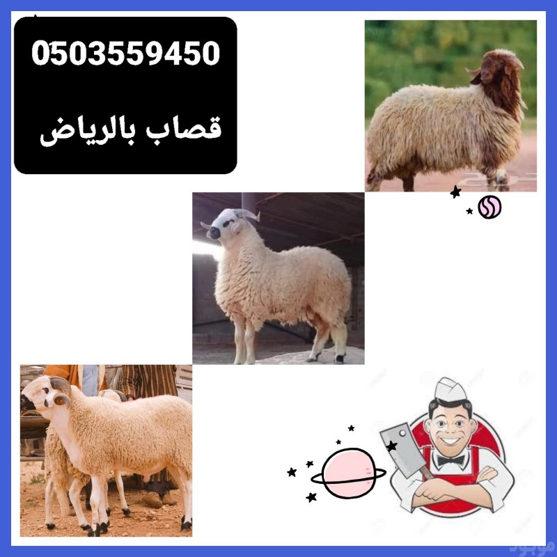 جزار قصاب لزبح سلخ ذبح بالرياض 0َ503559450 شرق غربا وسط 
