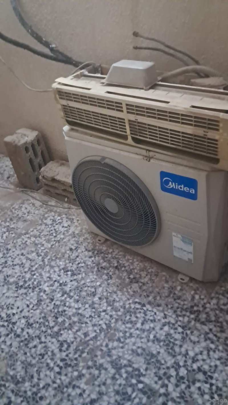 mojod
